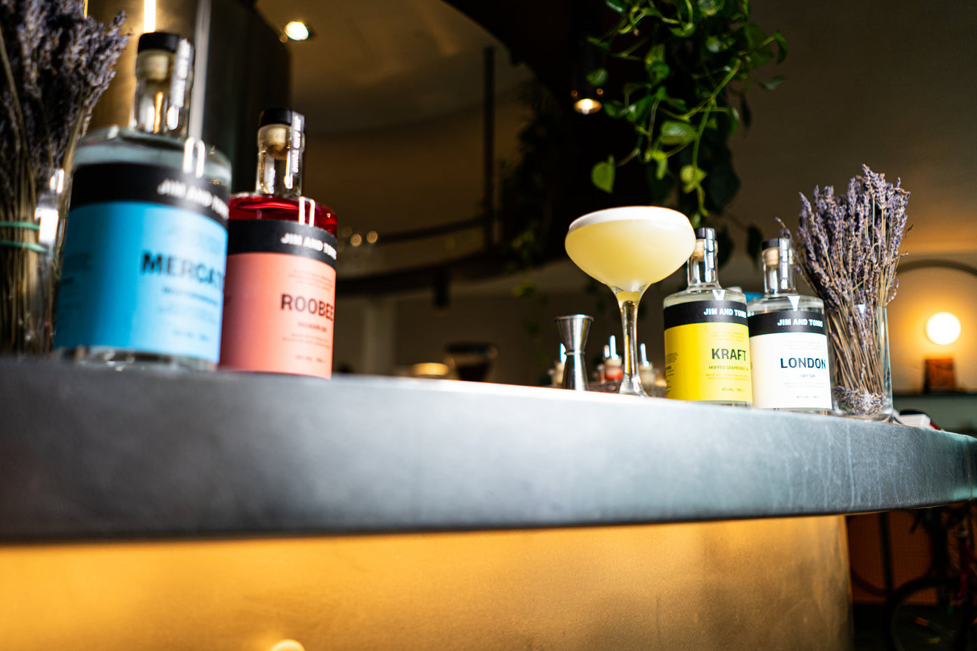 Mercato in the Fall Gin Cocktail