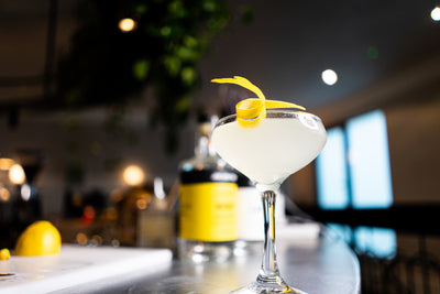 Elderflower Gin Fizz Cocktail