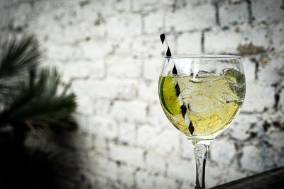 Spicy Ginger and Zesty Lime G&T