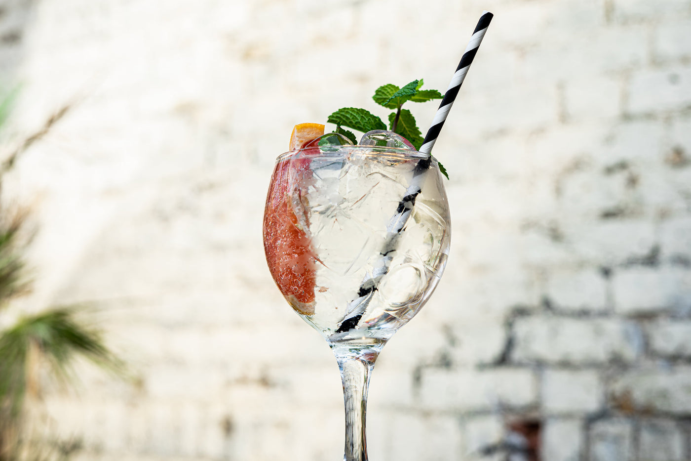 gin and tonic with pink grapefruit and mint