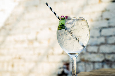 Fresh & Crisp Cucumber Gin and Tonic