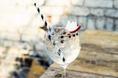 Elderflower Gin & Tonic with Apple & Juniper