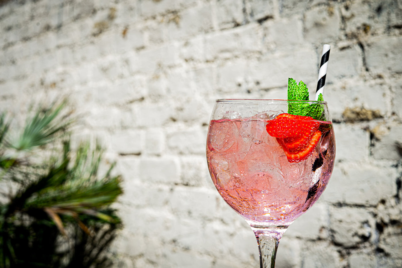 Pink Gin and Lemonade