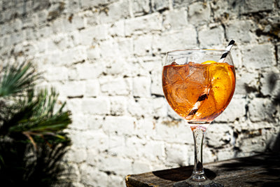 Rhubarb Gin and Ginger Ale Cocktail