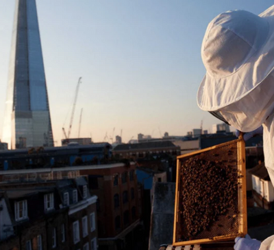 From Tea Towels to Trainers: Why Brits are Going Green with their Shopping Spree