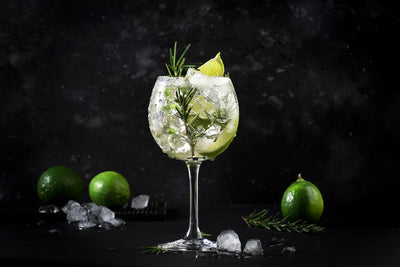 5 Incredible Tips When Hosting Your Own Gin Tasting