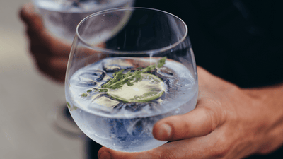 The Best Tips on How to Make the Perfect Gin & Tonic
