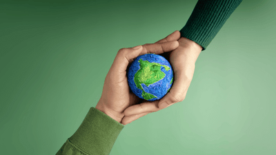 Crafting a Sustainable Future for Gin: Discover the Eco-Friendly Practices