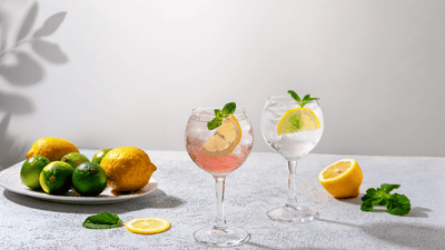 A Beginner's Guide on How to Drink Gin