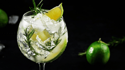 Why G&T Scientifically Works and Mistakes Hurting Your Drink