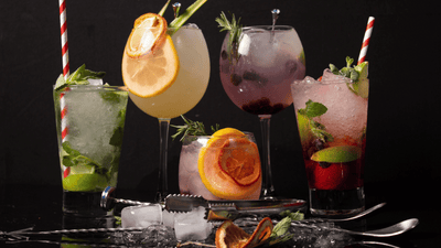 Gin-Based Cocktails 101: The Many Ways to Enjoy Gin