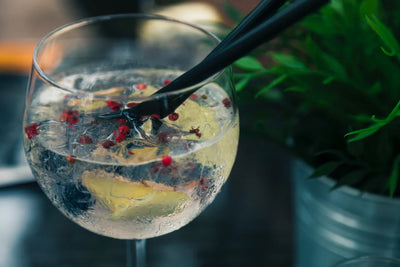 Health & Calorie Guide to Gin and Tonic